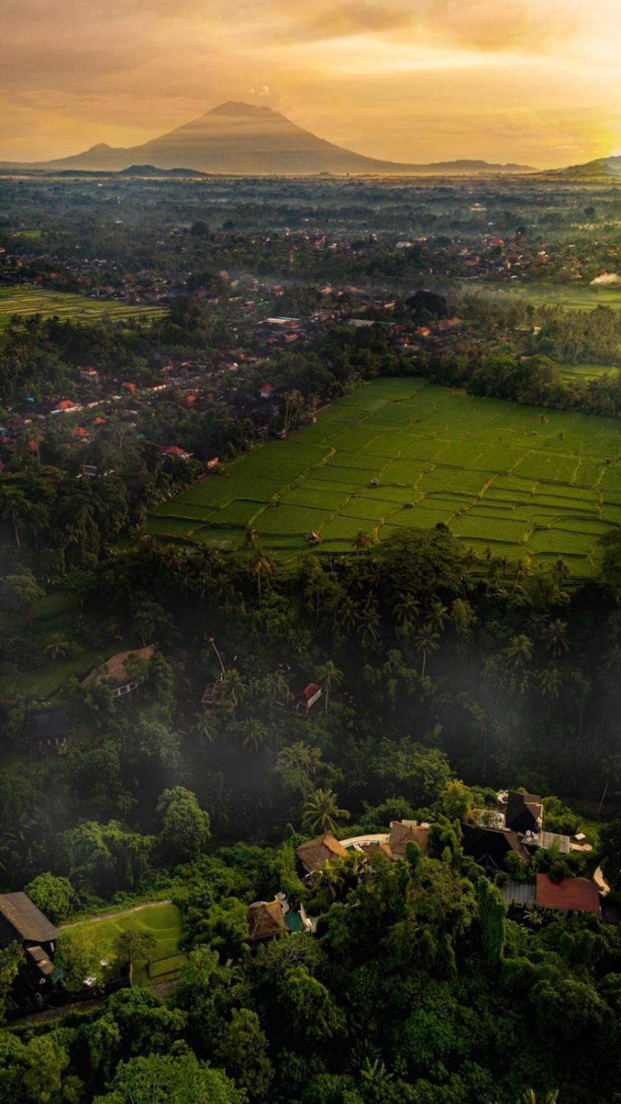Villa Cella Bella Ubud Εξωτερικό φωτογραφία